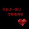 宠物狗的喂养知识